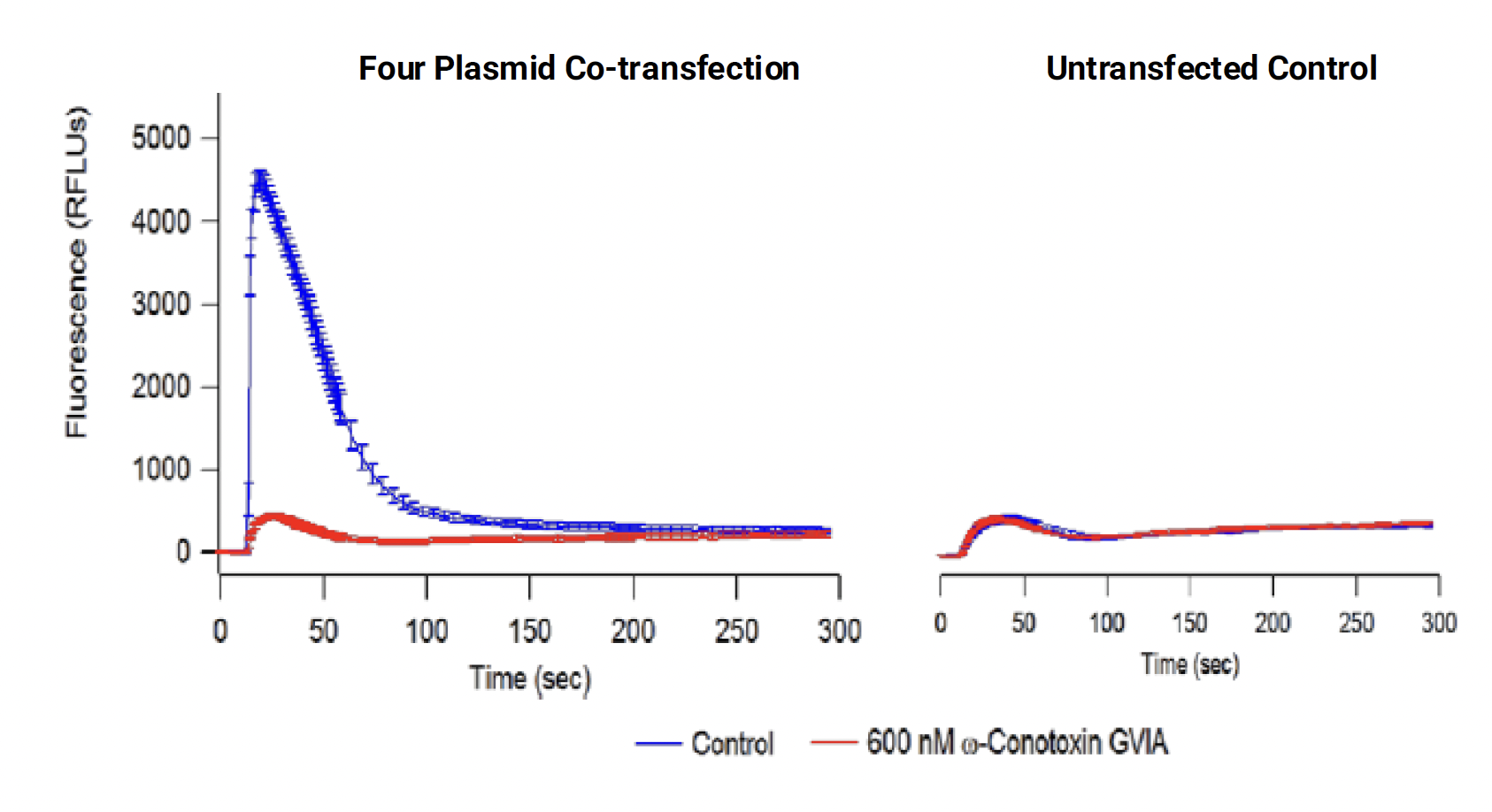 ​K​inetic curve graph ​compares the effect of four plasmid co-transfection on fluorescence over time, compared to an untransfected control​, with the co-transfection group​ showing a significant increase in fluorescence​ (peaking at 4500 RFLUs) initially, which is then largely inhibited by the presence of ​conotoxin​, while ​t​he control shows minimal fluorescence and no significant change with or without the conotoxin.
